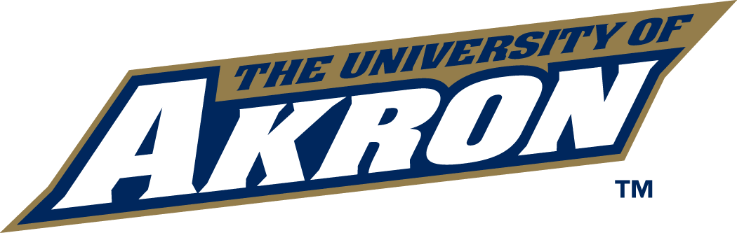 Akron Zips 2002-Pres Wordmark Logo v3 diy iron on heat transfer